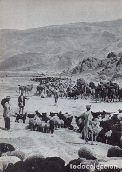 Cartoline: LAMINA V28273: Nomadas en Iran - Peter Bamm