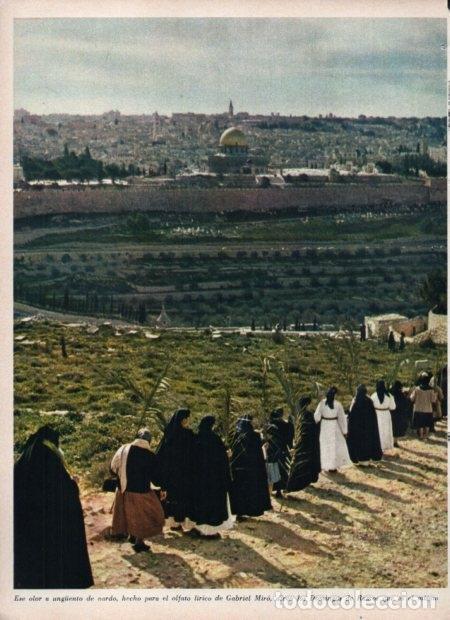 Postkarten: LAMINA V21500: Domingo de Ramos en Jerusalen - Varios