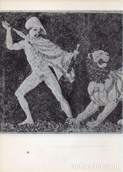 Cartoline: LAMINA V28197: Mosaico de guijarros fragmento, Pella - Peter Bamm