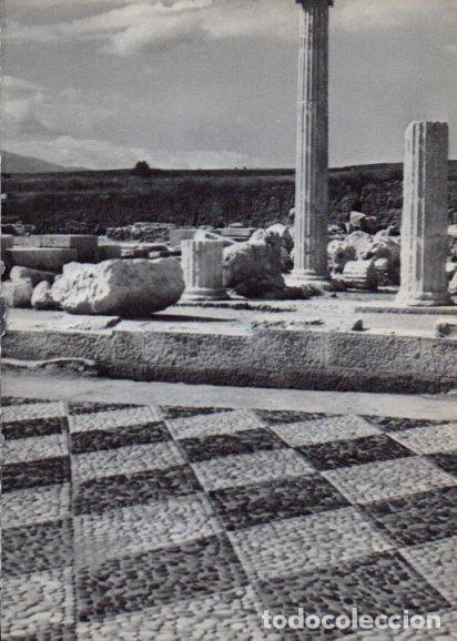 Cartoline: LAMINA V28196: Mosaico del palacio real de Pella - Peter Bamm