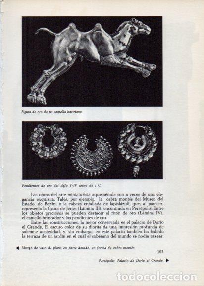 Cartoline: LAMINA V28228: Figura de un camello bactriano - Peter Bamm