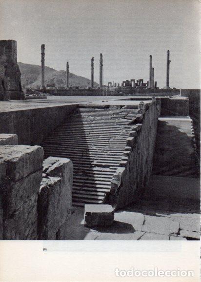 Cartoline: LAMINA V28224: La gran escalinata, Persepolis - Peter Bamm