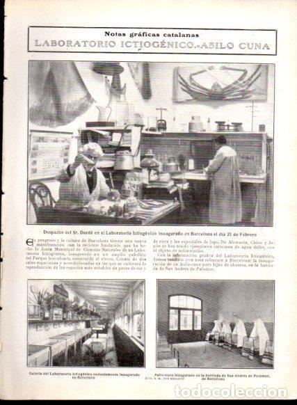 Postales: LAMINA V22838: Doctor Darde en Laboratorio Ictiogenico de Barcelona - Varios