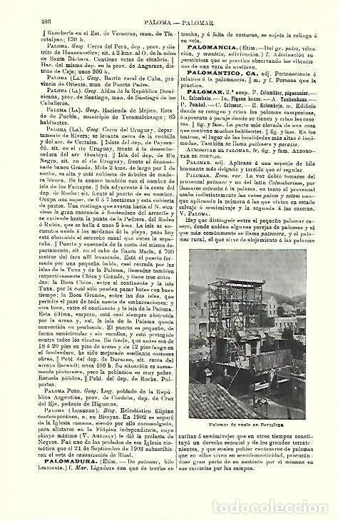 Postkarten: LAMINA ESPASA 39738: Palomar en Barcelona - Varios
