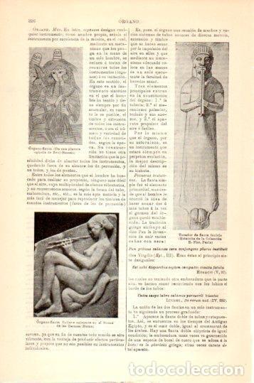 Postales: LAMINA V23999: Organo flauta relieve - Varios