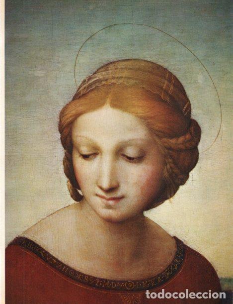 Postais: LAMINA V30452: Virgen del prado, detalle por Rafael - Varios