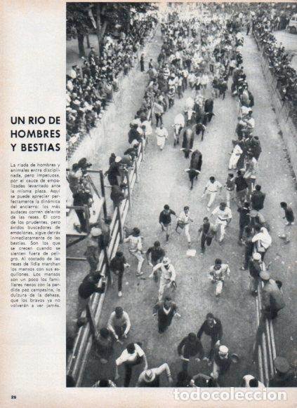 Postales: LAMINA V24946: Encierro de San Fermin - Varios