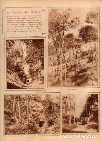 Postais: LAMINA V24423: Bosques de Vallvidrera, Barcelona - Varios