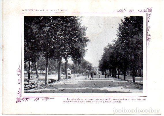 Postais: LAMINA V31712: Pontevedra. Paseo de la Alameda - Varios