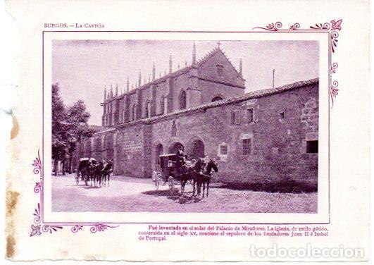 Postcards: LAMINA V31635: Burgos. La Cartuja - Varios
