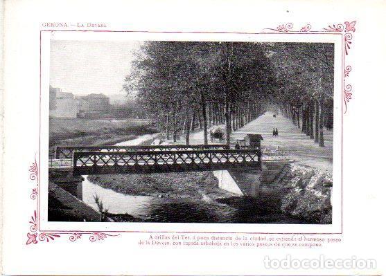 Postcards: LAMINA V31796: Gerona. La Devesa - Varios