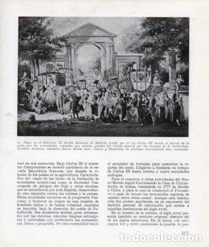 Postcards: LAMINA V26280: Paseo en el Botanico de Madrid - Ramon Ballester Escalas