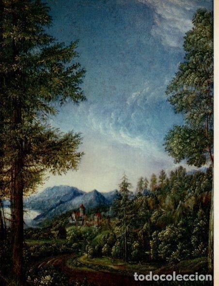 Postkarten: LAMINA V32994: Paisaje danubiano con el castillo de Worth por A. Altdorfer - Hermann Bauer