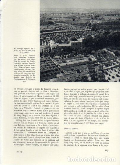 Postcards: LAMINA V25989: Paissatge agricola prop de Cambrils - Varios