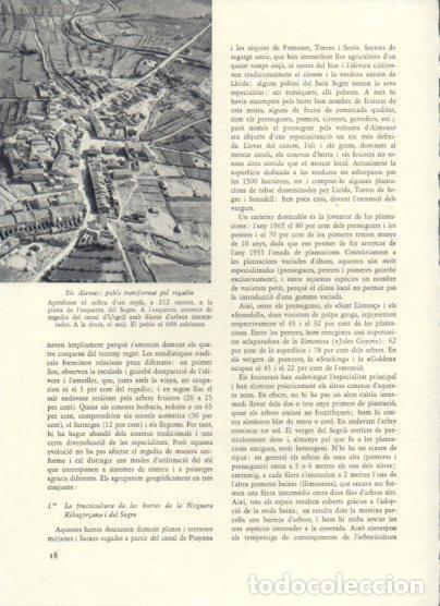 Cartoline: LAMINA V25894: Els Alamus, Lleida - Varios