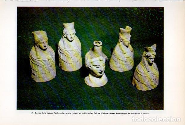 Postcards: LAMINA V34669: Bustos de la deessa Tanit, Cova d'es Cuiram a Eivissa - Antoni Rovira i Virgili