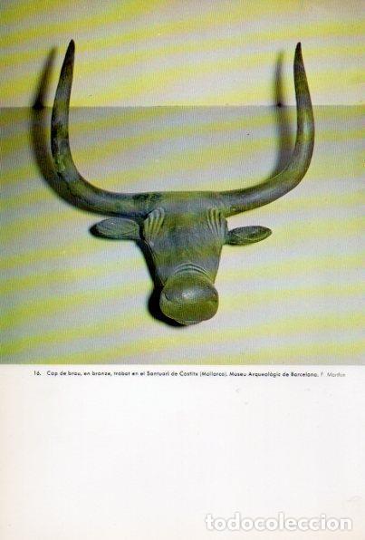 Cartoline: LAMINA V34753: Cap de brau trobat en el Santuari de Costitx, Mallorca - Antoni Rovira i Virgili