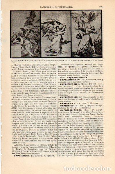 Postais: LAMINA V35155: Caprichos grabados de Goya - Varios