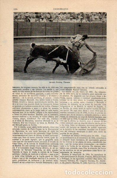 Cartoline: LAMINA V35067: Antonio Borrero, Chamaco - Varios