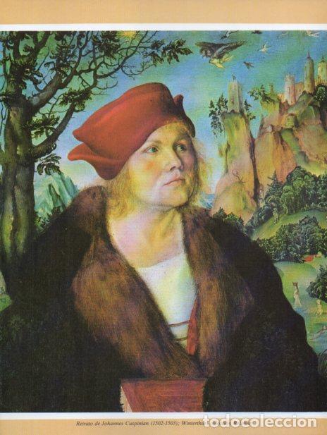 Postales: LAMINA V35689: Retrato de Johannes Cuspinian por Lucas Cranach - Varios
