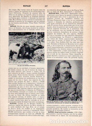 Cartoline: LAMINA V27006: Retrato de Buffalo Bill - Varios