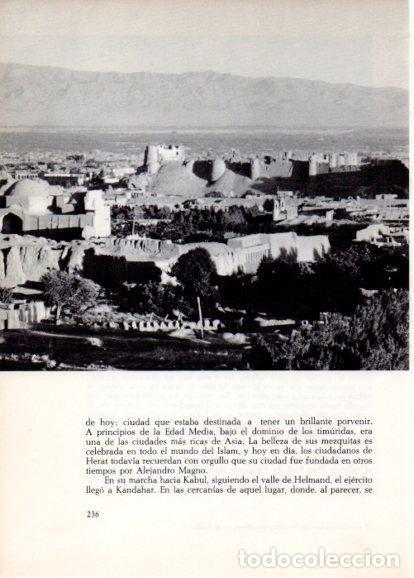Postcards: LAMINA V28279: Vista de Herat - Peter Bamm