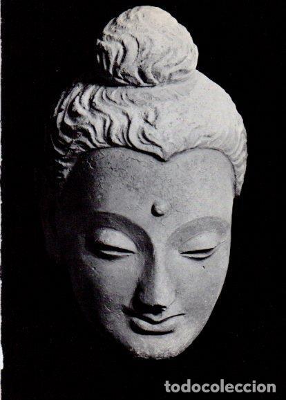 Cartoline: LAMINA V28292: Cabeza de Buda de Hadda siglo III-IV - Peter Bamm