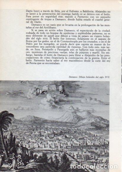 Postcards: LAMINA V28249: Damasco dibujo holandes siglo XVII - Peter Bamm