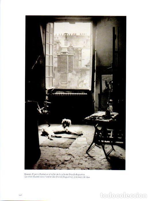 Cartoline: LAMINA V27975: El perro Kazbek en el taller de la calle de Grands-Augustins por Brassai - Varios