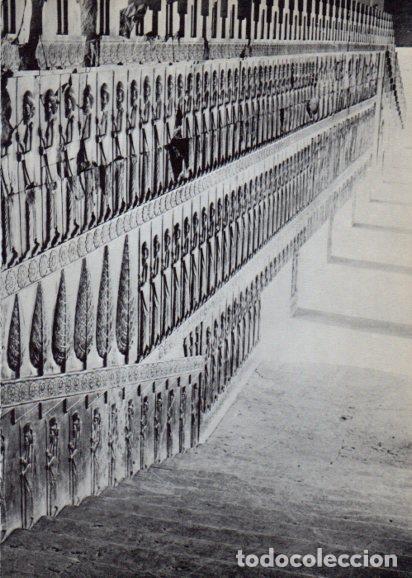 Cartoline: LAMINA V28226: Guardianes salida oriental de la Apadana, Persepolis - Peter Bamm