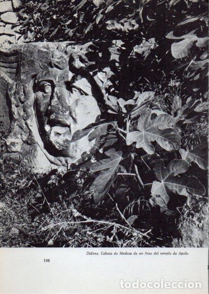 Postcards: LAMINA V28243: Cabeza de Medusa del templo de Apolo, Didimo - Peter Bamm