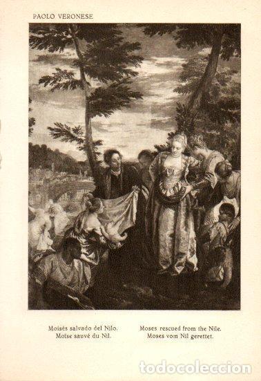 Postcards: LAMINA V28138: Moises salvado del Nilo por Paolo Veronese - Bernardino de Pantorba