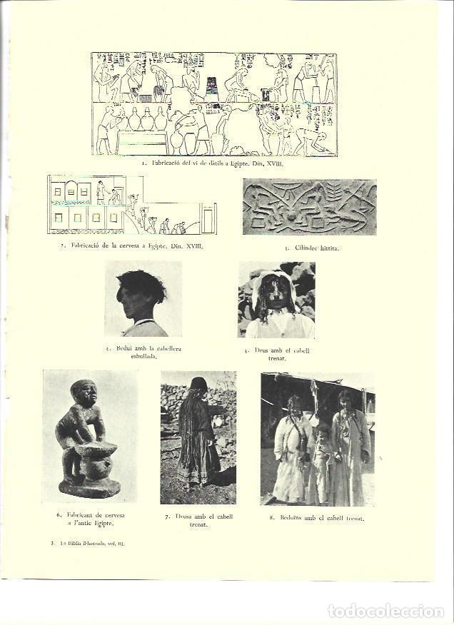 Postales: LAMINA 36313: Fabricacion de vino y cerveza en Egipto antiguo - VVAA