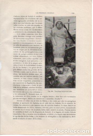 Postales: LAMINA V37004: Sarcofago fenicio de Cadiz - Antonio Ballesteros y Beretta