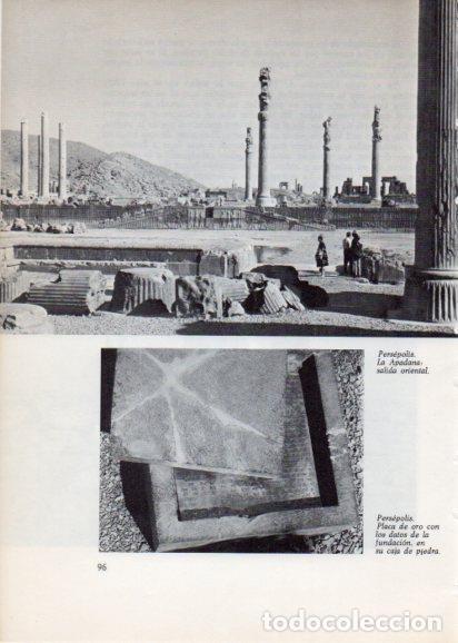 Postales: LAMINA V28225: La Apadana salida oriental, Persepolis - Peter Bamm