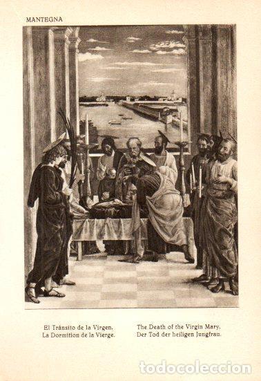 Postcards: LAMINA V28136: El Transito de la Virgen por Mantegna - Bernardino de Pantorba