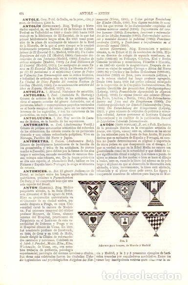 Postais: LAMINA V29073: Adornos para bueyes de Murcia y Madrid - Varios
