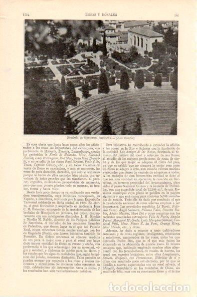 Postkarten: LAMINA V29006: Rosaleda de Montjuich, Barcelona - Varios