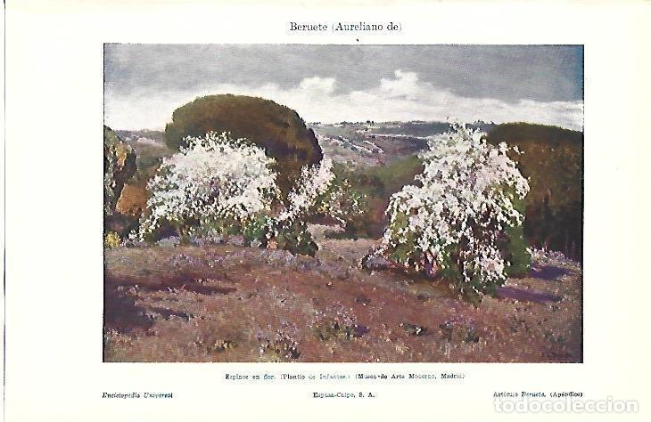 Cartoline: LAMINA ESPASA 39524: Espinos en flor, por Aureliano de Beruete - Varios