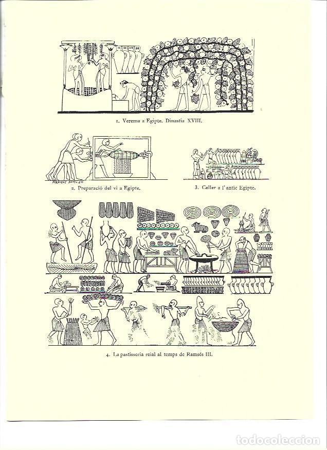 Postales: LAMINA 36294: Vendimia y preparacion del vino en el Antiguo Egipto - VVAA