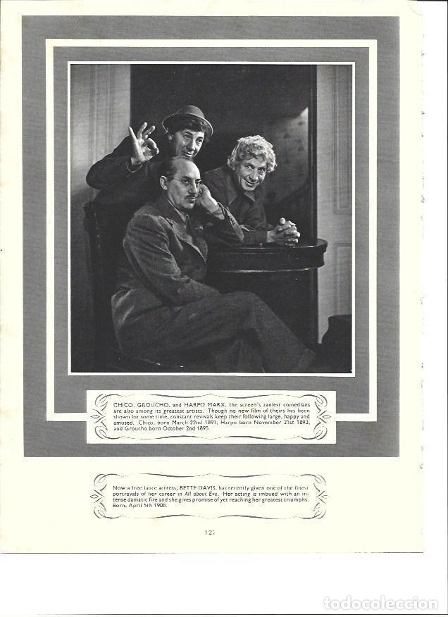 Postales: LAMINA 36494: Groucho, Chico y Harpo Marx - Ivy Crane Wilson