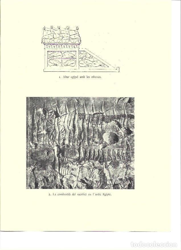 Postales: LAMINA 36132: Sacrificio en el Antiguo Egipto - VVAA