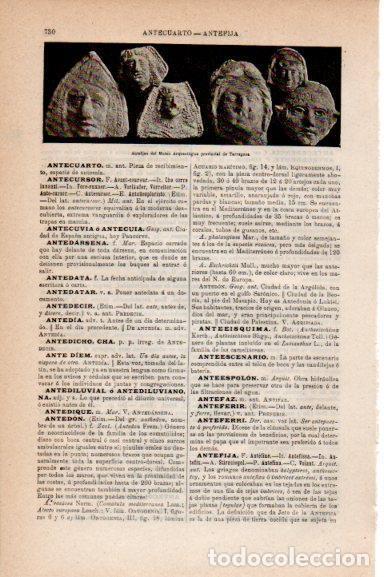 Cartoline: LAMINA V30786: Antefijas del Museo Arqueologico de Tarragona - Varios