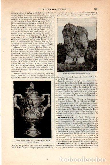 Postcards: LAMINA V30761: Roca llamada El Anfora en Montpellier - Varios