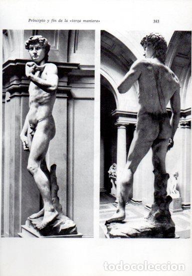 Cartoline: LAMINA V41292: El David por Miguel Angel - Leonardo Benevolo