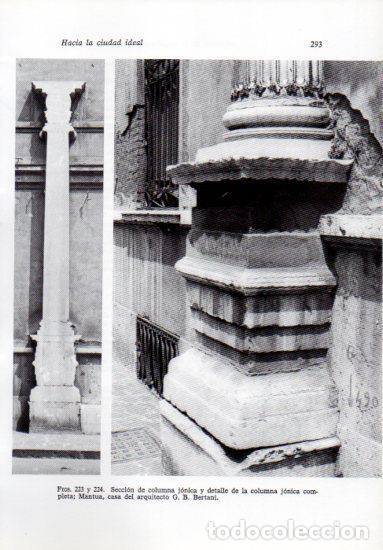 Cartoline: LAMINA V41257: Columnas de la casa de G. B. Bertani en Mantua - Leonardo Benevolo