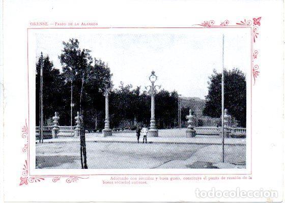 Postkarten: LAMINA V31980: Orense. Paseo de la Alameda - Varios