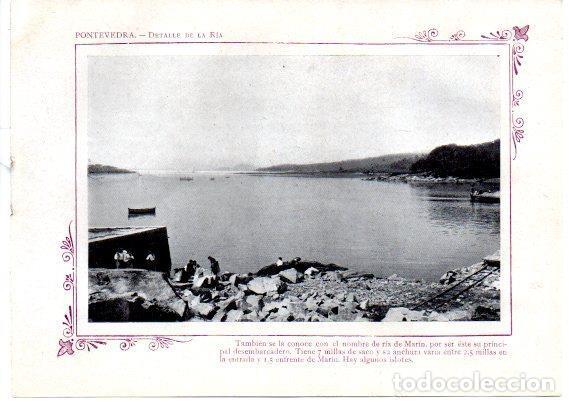 Postais: LAMINA V31706: Pontevedra. Detalle de la Ria - Varios