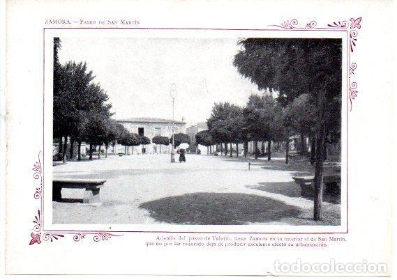 Cartoline: LAMINA V31728: Zamora. Paseo de San Martin - Varios
