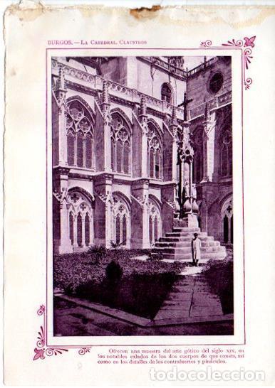 Postcards: LAMINA V31643: Burgos. Claustros de la Catedral - Varios